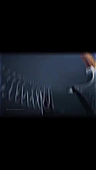 Truly a honest person 