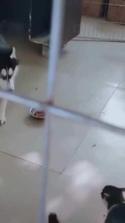 What's you feeling after my slap.