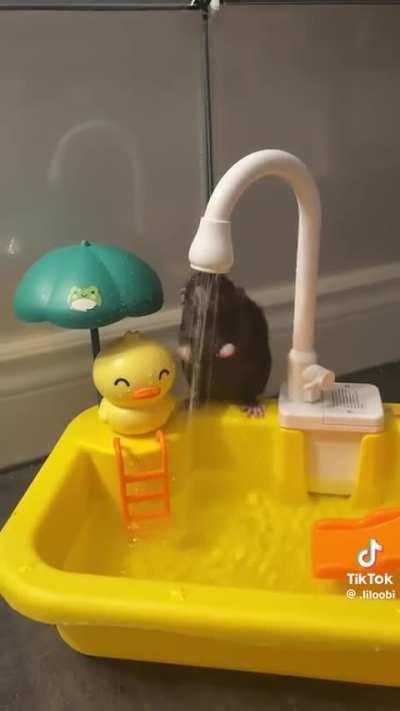 o rato do castelo ra tim bum