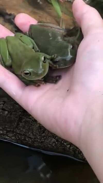 They held hands in the end🥺