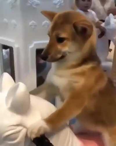 Dogecoin riding the up-down waves :-)