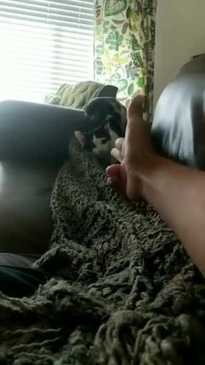 The duel will commence AFTER we count to 10