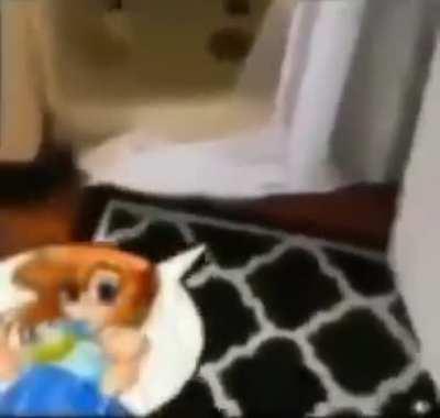 omochkairi spotted in New Hampshire