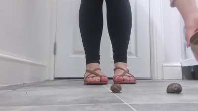Snail crush under sandals
