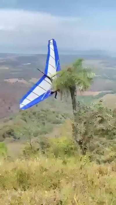 The only tree in the horizon...what could go wrong???