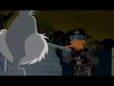 Sgt.Daffy Duck was last seen boarding a Flight to Ukraine, mumbling something about it being 