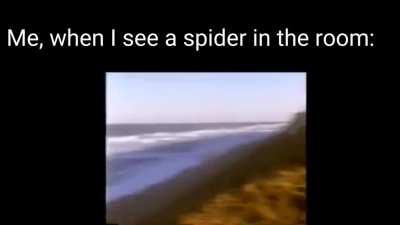 Just please no spiders....