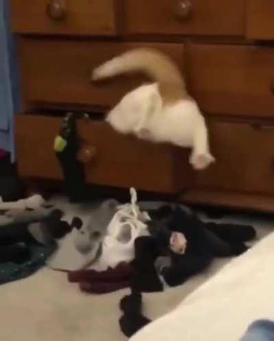 Those hips don't lie