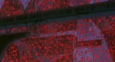 One of the best yuri scenes in  anime [Revolutionary Girl Utena: Adolescence of Utena]