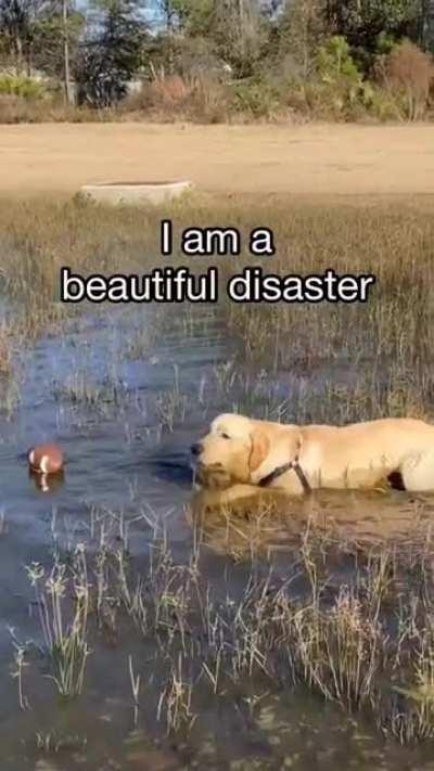 life lessons to be learnt from this cutie 🤗