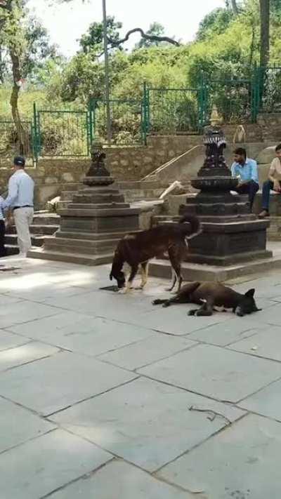 Need more people like him