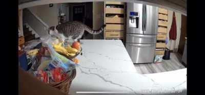 Why did my overnight proof fail?