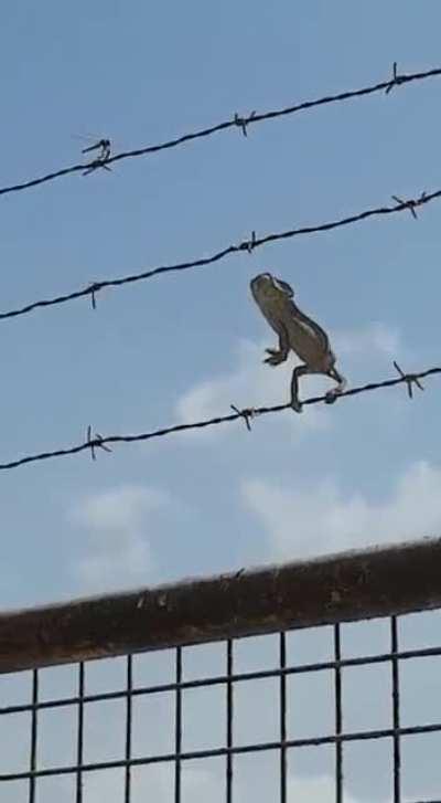 Getting your ducks in a row