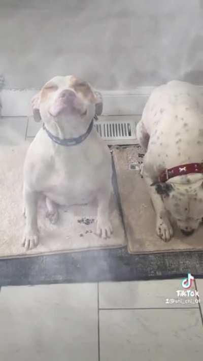 Innocent until proven guilty!