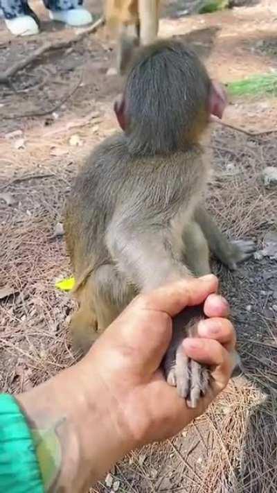 Stranger danger! You aren’t my dad!