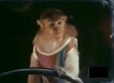 Who needs driving license?