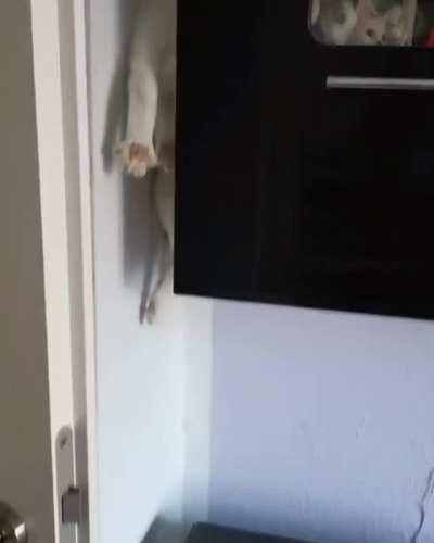 Slidin down the cabinets