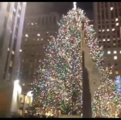 average day in wordington