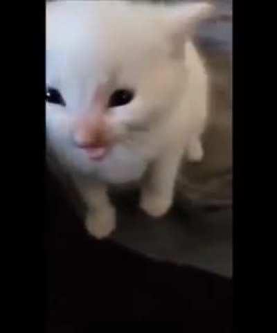 found it on my phone