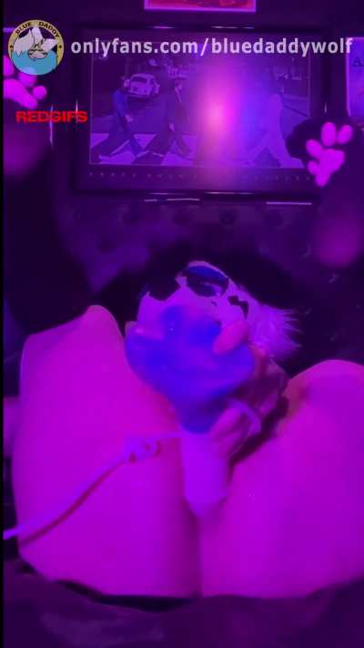 Puppy loves getting his massive equine creampies daily  🐴💦