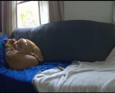 Why are you so far away, friend?