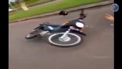 Doing wheelie together