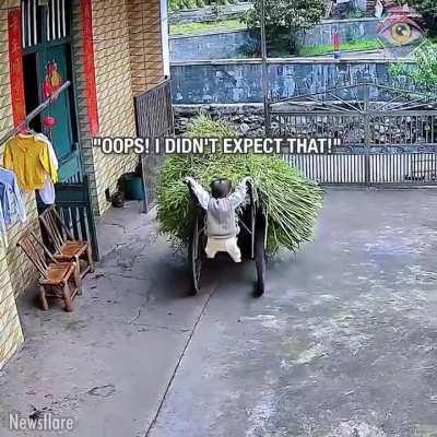 baby overestimates its power