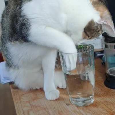 I guess I'm done with my water