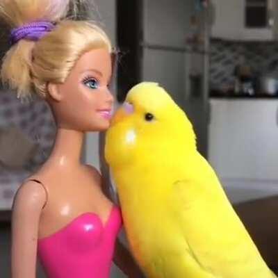 After Stacy left him, Chad returned to the dating market but had some old fashioned ideas about what was appropriate in the workplace. He didn't realize that Barbie was secretly filming his flirtations and he was about to become the poster boy for HR's ne