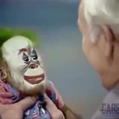 We live in a society