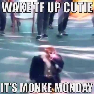 Monke monday