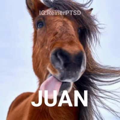 Can you be the cart to my horse?