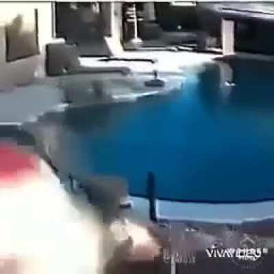 MOMENTO MOVISTAR 🥵