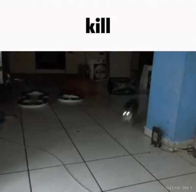 kill