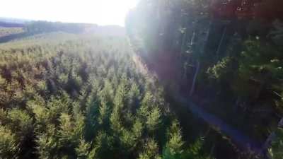 The boundary between private timberland and public BLM land.