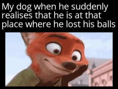 *Vietnam Flashbacks*