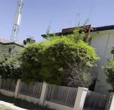 Another day in Canberra