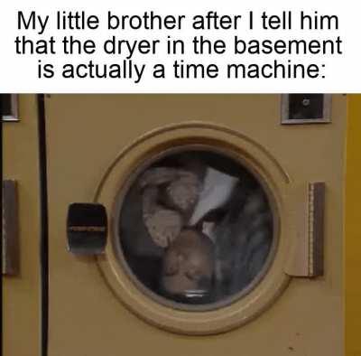 Let's go find some dinosaurs