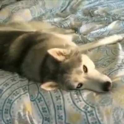 Some days are harder than others