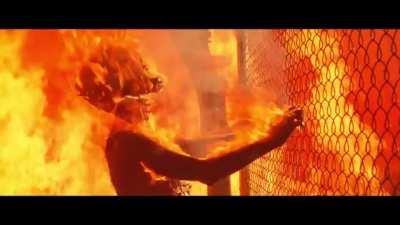 Come with me if you want to live