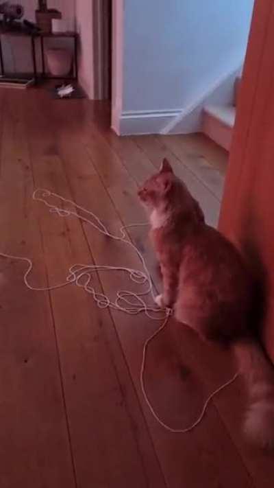 "Come and play with me!"