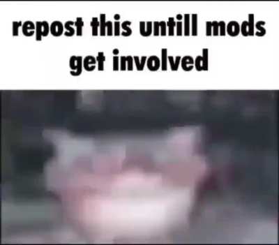 Woag