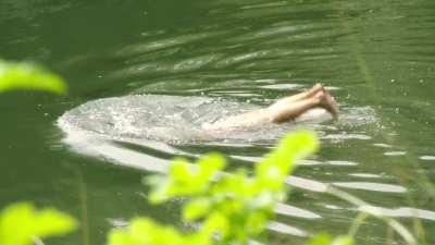 Cecile de France showing her full frontal plot in Bonnard, Pierre & Marthe (2023)