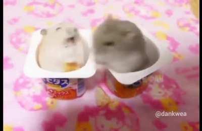 Shouldn't have done that