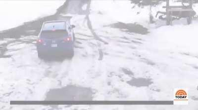 Good boy saves small boy