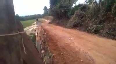 Next time, use the brakes.