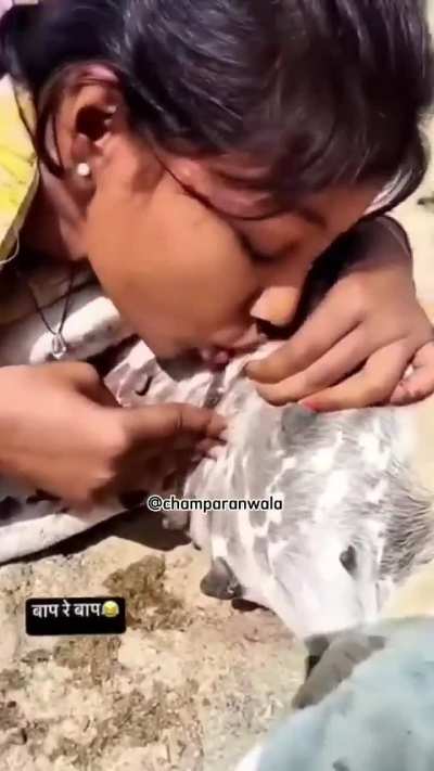 Yo! Amul isn't truly the taste of India anymore. 