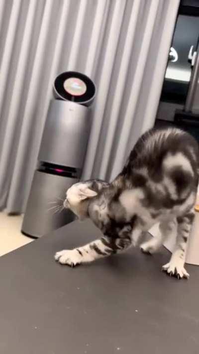 TV critic (0/10 won't watch again)