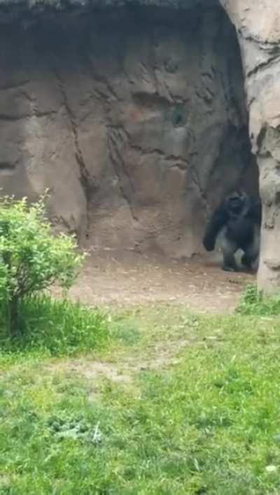 Joe coming out of quarantine