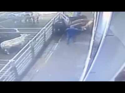 Bull shows Bully what a real kick is